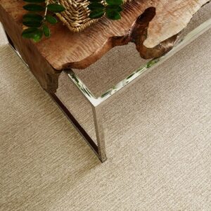 Tan Carpet flooring | Carpet Direct Flooring